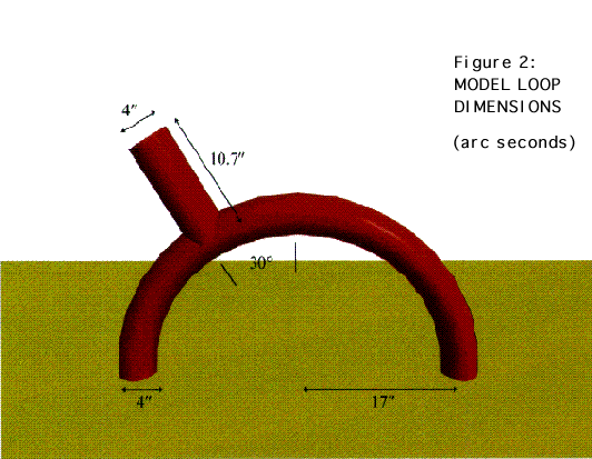 Model Loop Dimensions